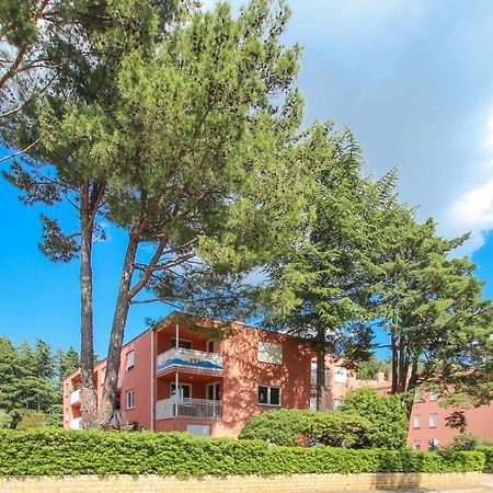 Vesna S Apartment Novigrad  Zewnętrze zdjęcie