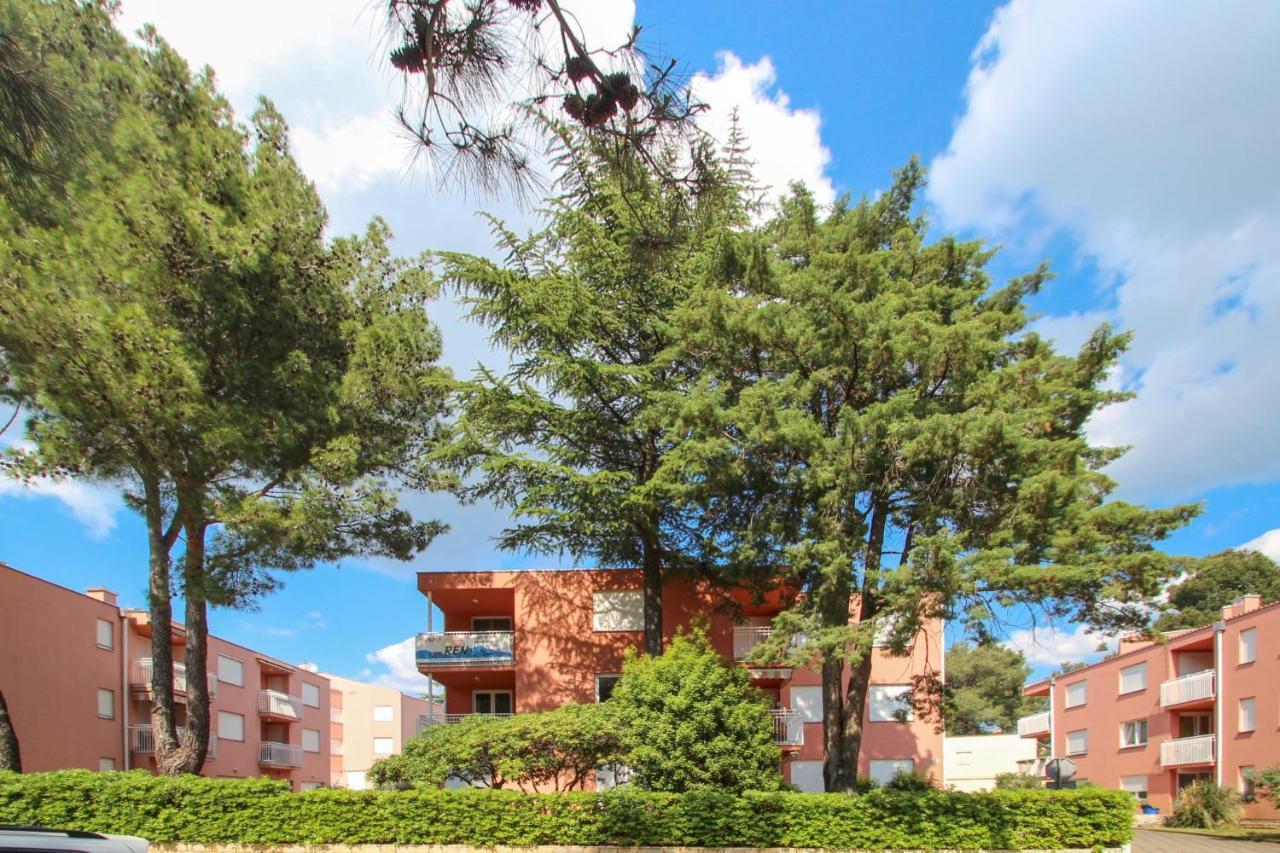 Vesna S Apartment Novigrad  Zewnętrze zdjęcie