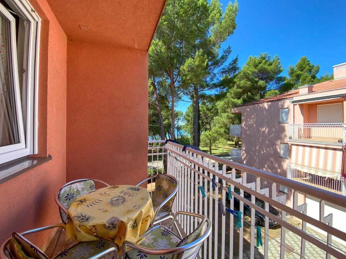 Vesna S Apartment Novigrad  Zewnętrze zdjęcie