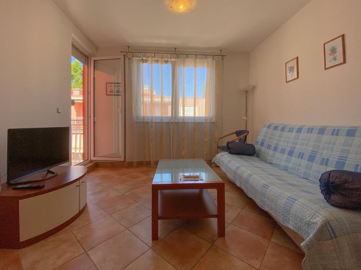Vesna S Apartment Novigrad  Zewnętrze zdjęcie