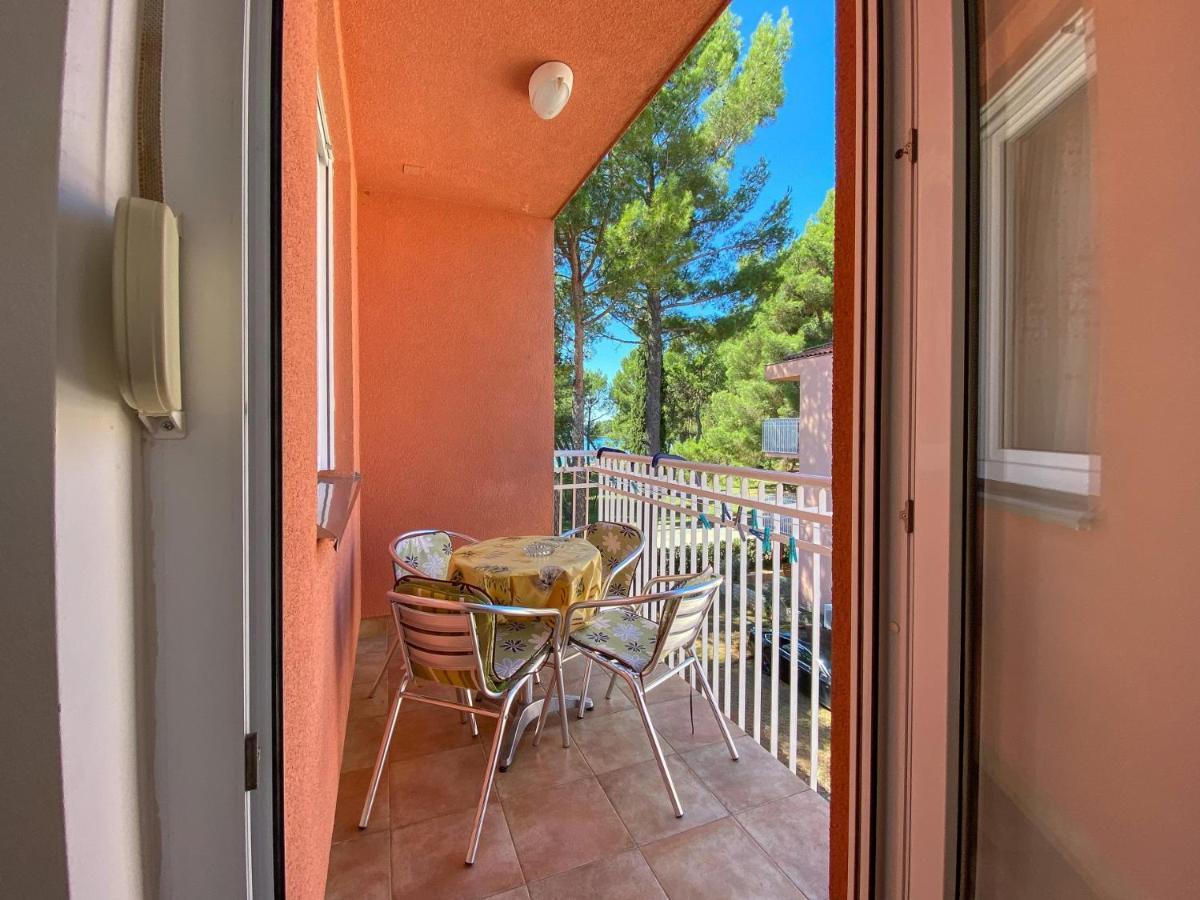 Vesna S Apartment Novigrad  Zewnętrze zdjęcie