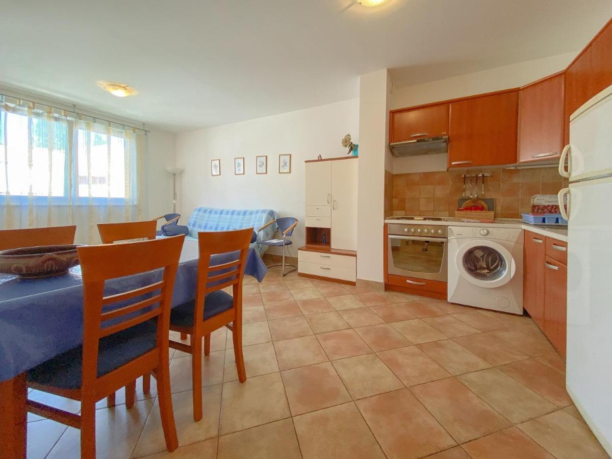 Vesna S Apartment Novigrad  Zewnętrze zdjęcie