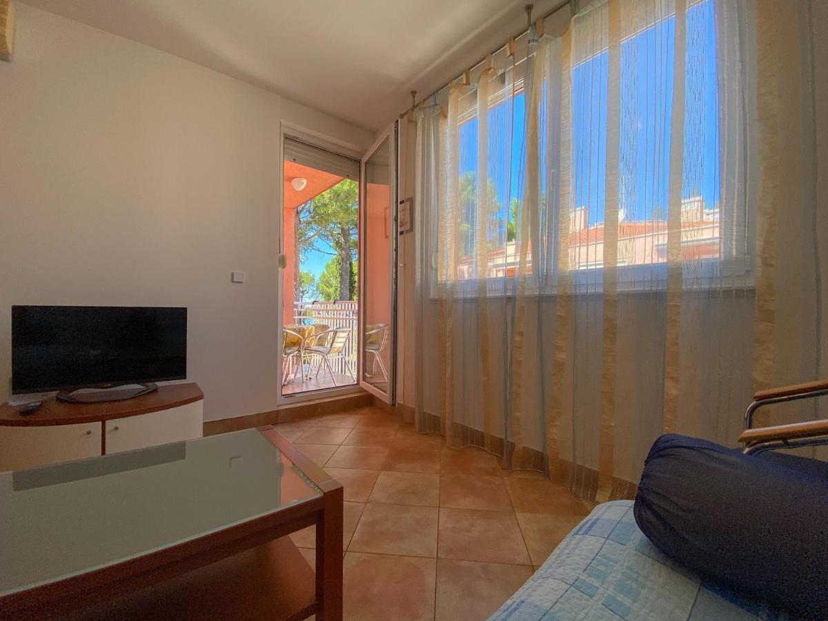 Vesna S Apartment Novigrad  Zewnętrze zdjęcie