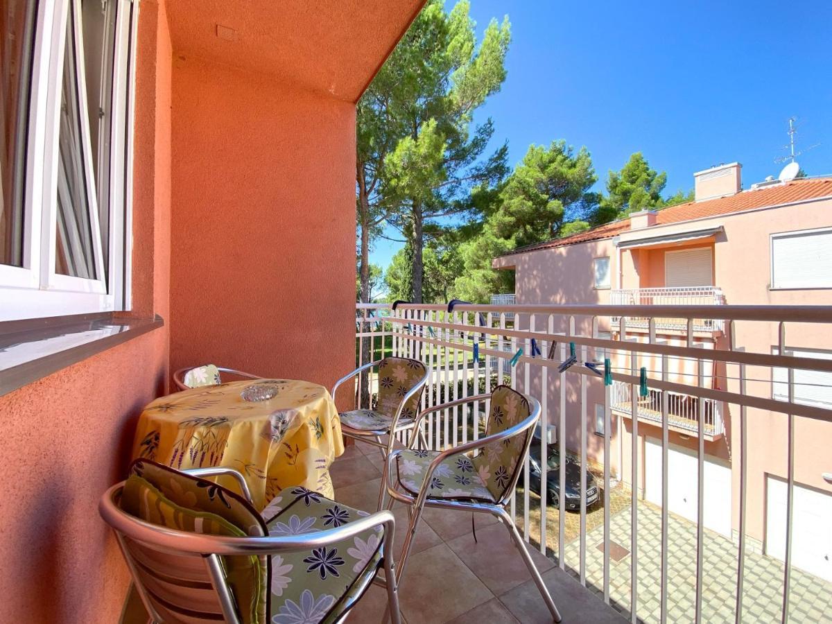 Vesna S Apartment Novigrad  Zewnętrze zdjęcie